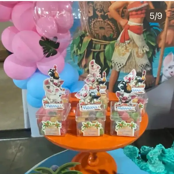 Caixinhas acrílicas com apliques Pua e Heihei Moana - Profissional Print